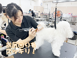 １年生のトリミング実習♪